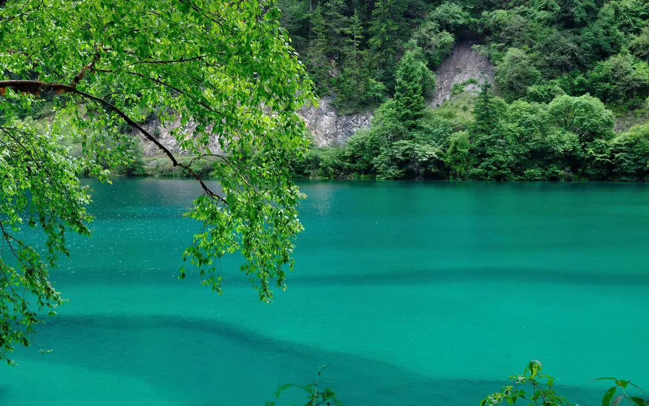 高效高性能